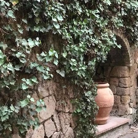 Princess B&B Frascati Exterior photo